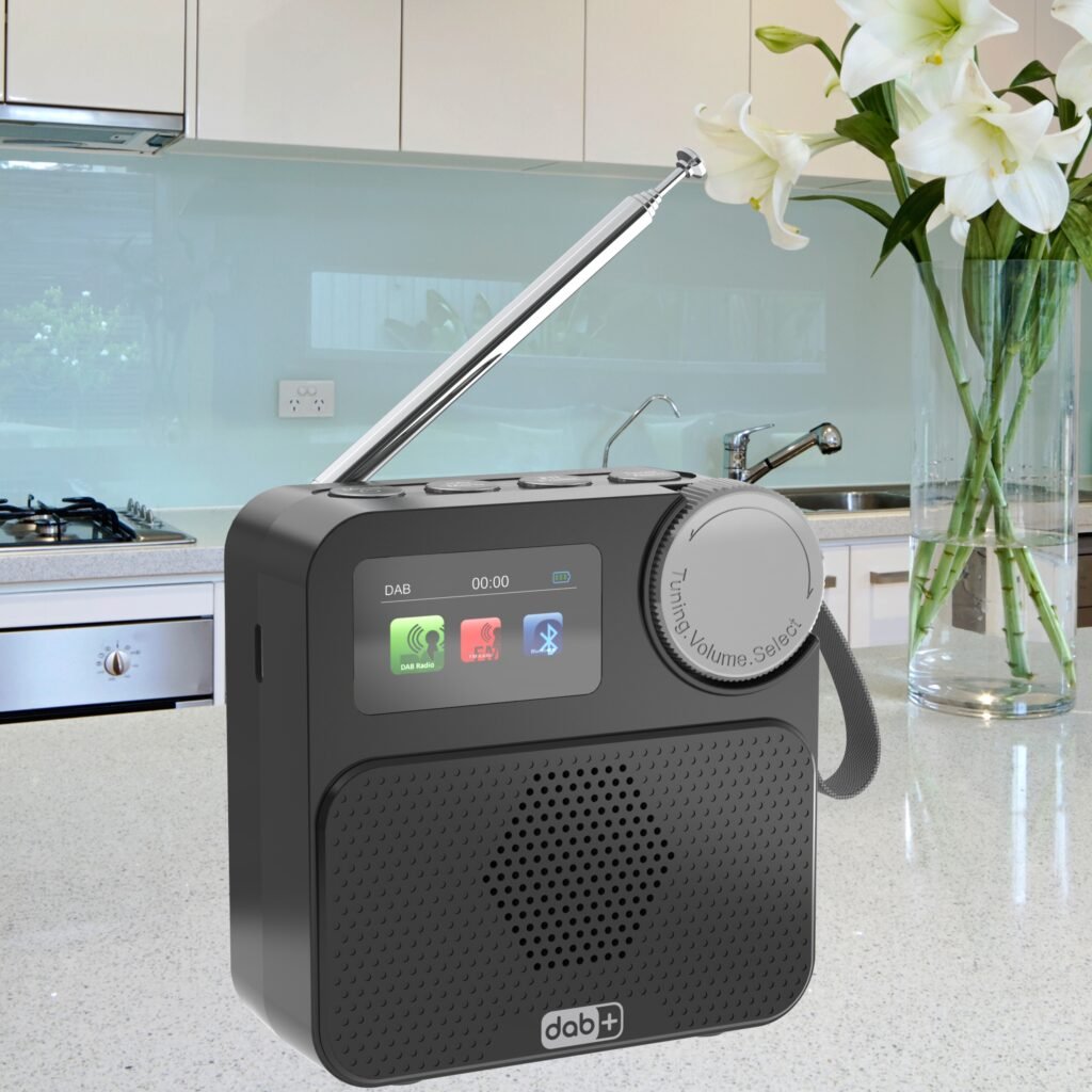 Portable DAB radio 6