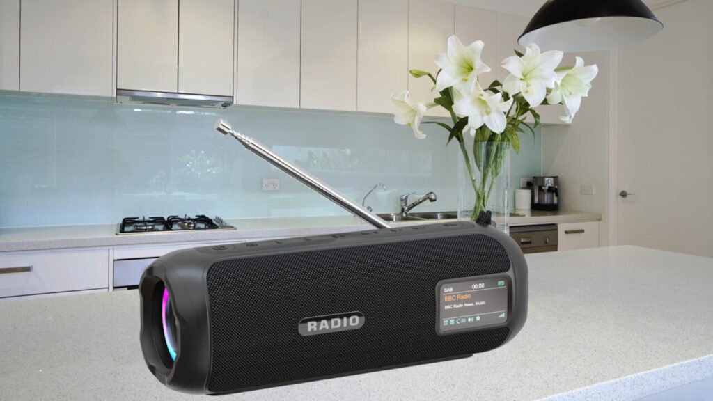 DAB radio P12D 1