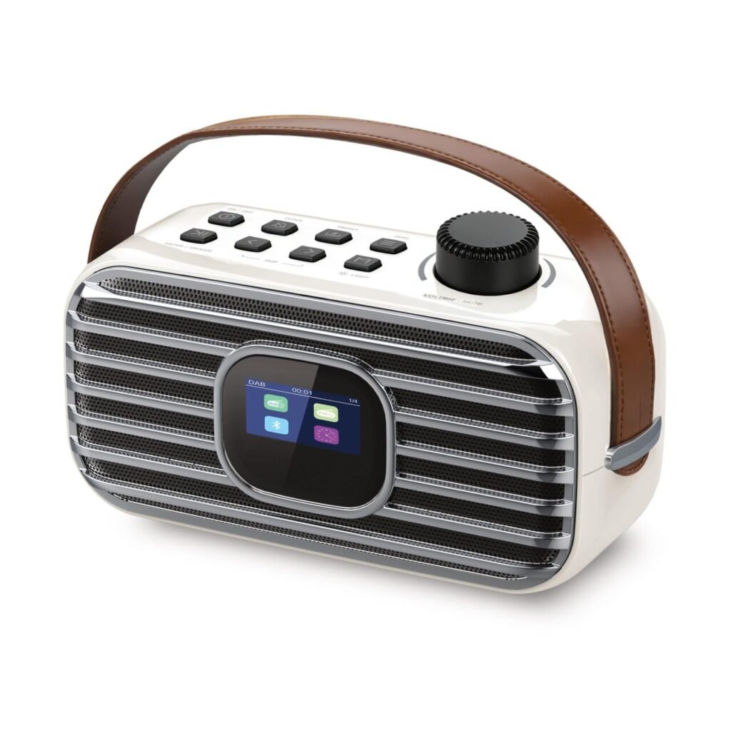 Portable BT DAB DAB+ Radio with color Display Rechargeable Battery and USB-C Cable 12 Hour Playback Made of Durable Plastic